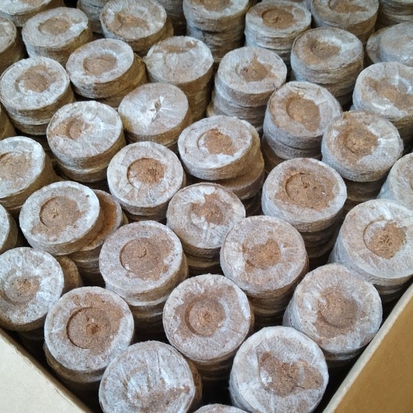 Jiffy7 de Turba 29mm