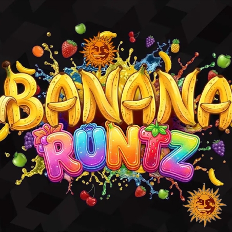 Banana Runtz F1 Hybrid: struttura