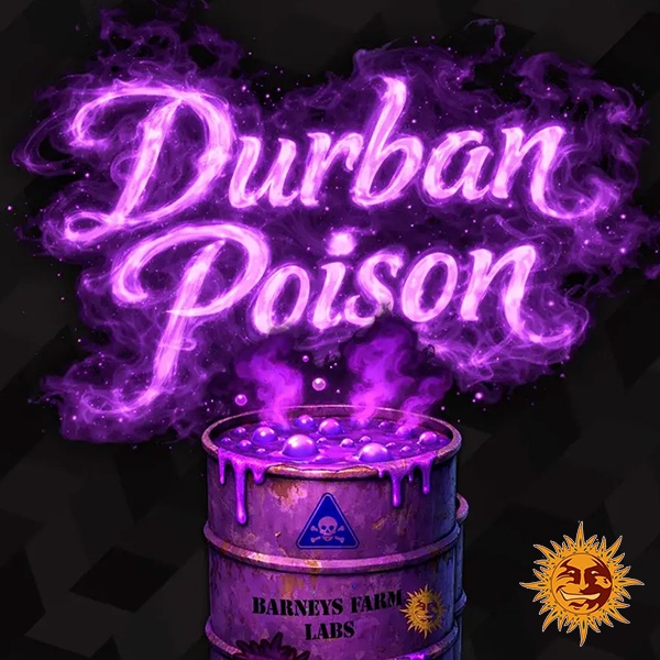 Durban Poison F1 Hybrid