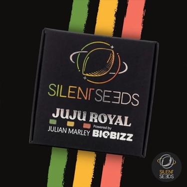 Jamaican Sunset di Julian Marley | GB