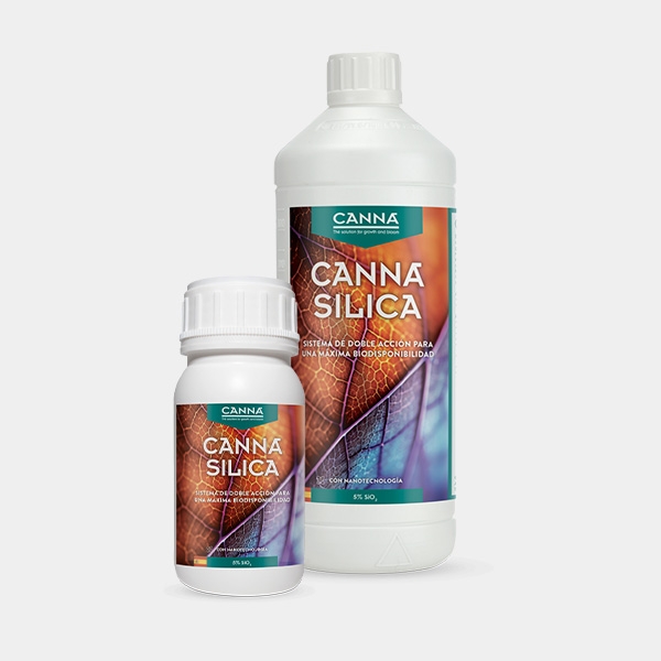 Visualizzazione Canna Silica in tutti i formati