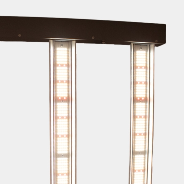 JUNE CORELUX Hortilight LED 720W | GB The Green Brand