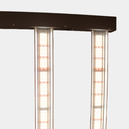 JUNE CORELUX Hortilight LED 720W | GB The Green Brand