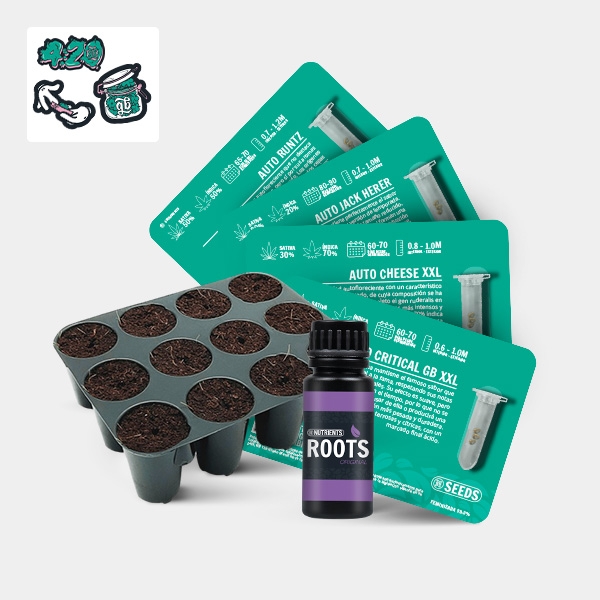Visualizzazione GB Seeds Box - GB The Green Brand