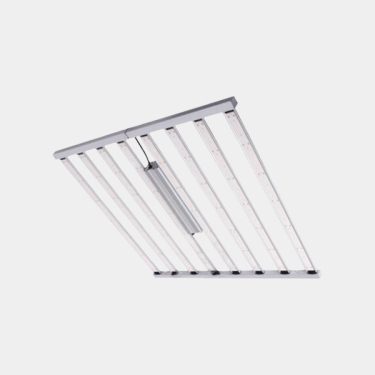 LED Spider King 1000 W 2