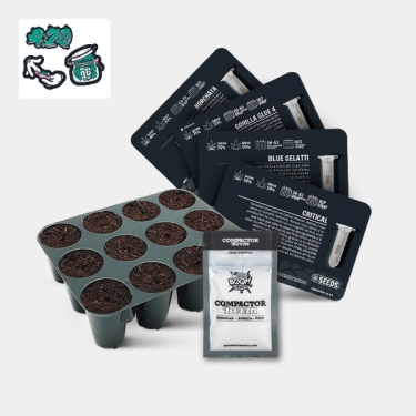 GB Seeds Box