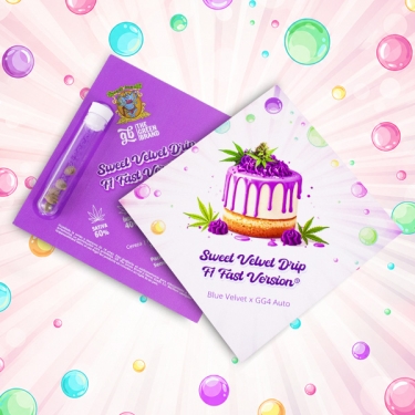 Visualizzazione Sweet Velvet Drip F1 Fast Version® | GB x Sweet Seeds
