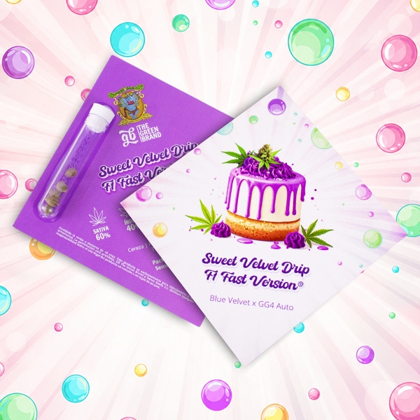 Visualizzazione Sweet Velvet Drip F1 Fast Version® | GB x Sweet Seeds