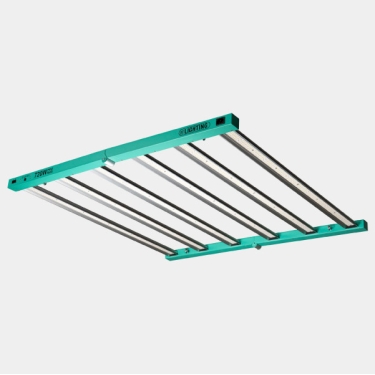 Kit Esperto 120x120 - GB The Green Brand