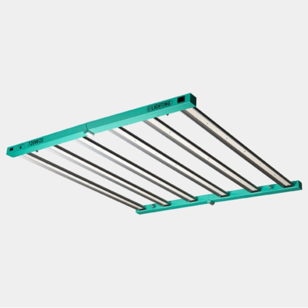 Kit Esperto 120x120 - GB The Green Brand