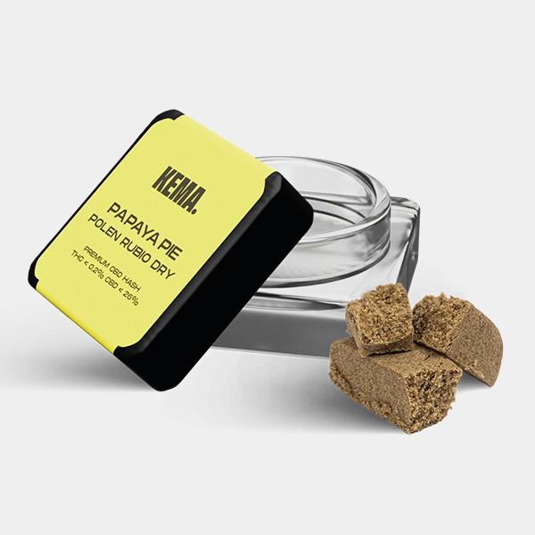 Kit KEMA Trip | Kit per fumatori colorato e giovanile 🚬