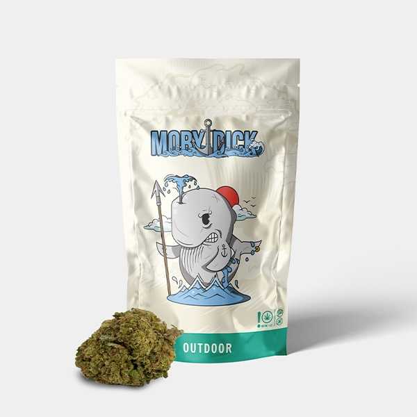 Visualizzazione Fiori CBD GB Outdoor 'Moby Dick' - GB The Green Brand