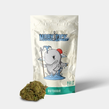 Fiori CBD GB Outdoor 'Moby Dick' - GB The Green Brand