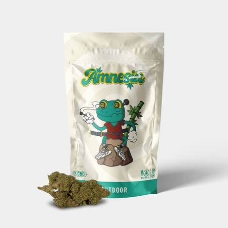 Fiori CBD GB Outdoor 'Amnesia'- GB The Green Brand