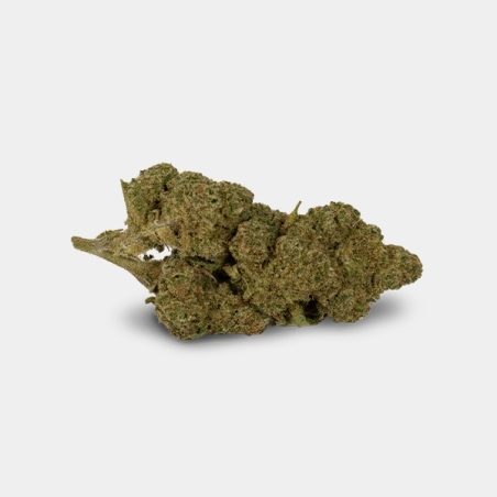 Fiori CBD GB Outdoor 'Amnesia'- GB The Green Brand
