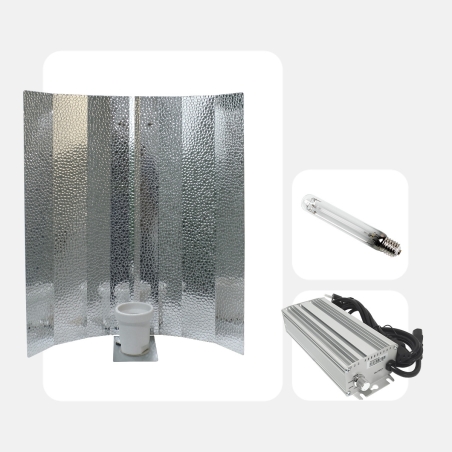 Kit elettronico regolabile Vanguard 600 W - Grow Barato
