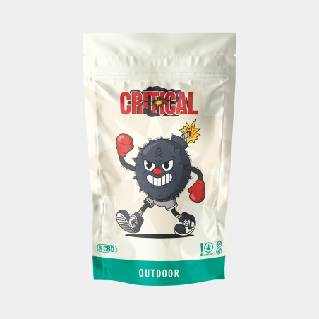 CBD GB critica