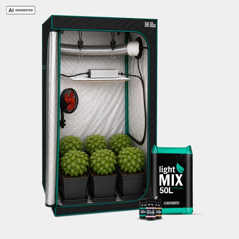 Visualizzazione Kit completo per principianti 80x80 - GB The Green Brand