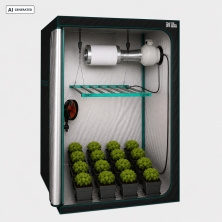 Visualizzazione Kit Esperto 120x120 - GB The Green Brand