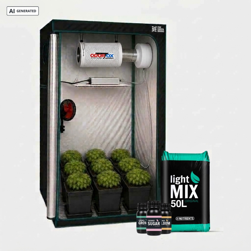 Visualizzazione Kit Completo Avanzato 100x100 - GB The Green Brand
