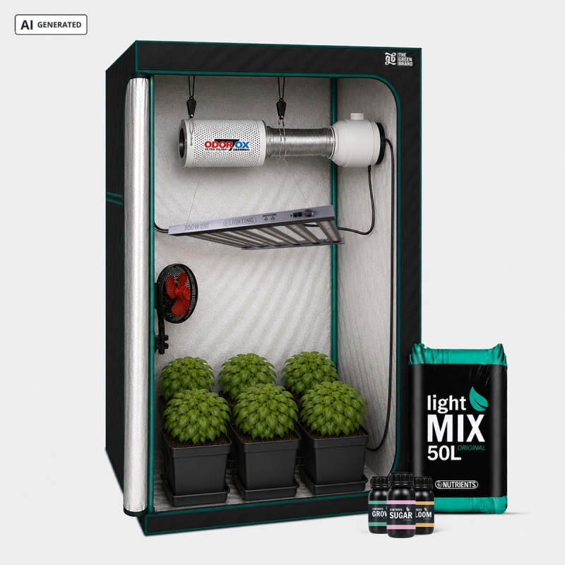 Visualizzazione Kit completo 300W Black Ultra