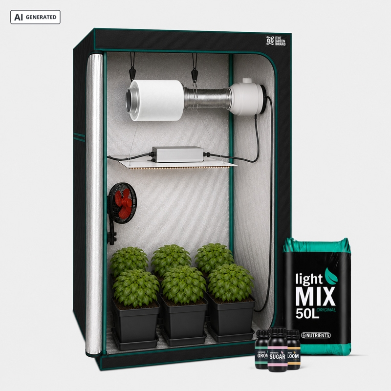 Kit completo per principianti 80x80 - GB The Green Brand