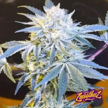 Visualizzazione Candy´n Cream 4 u. fem ZmoothieZ