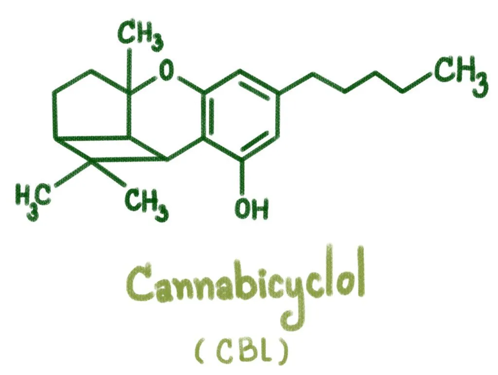 Cos’è il cannabiciclolo (CBL)? Cos’è il cannabiciclolo (CBL)?