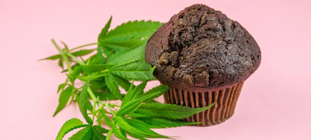 Muffin de chocolate cannábico