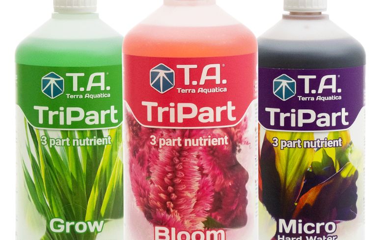 Notizie sulla cannabis