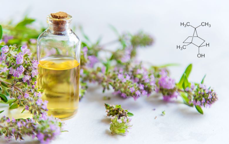 Notizie sulla cannabis