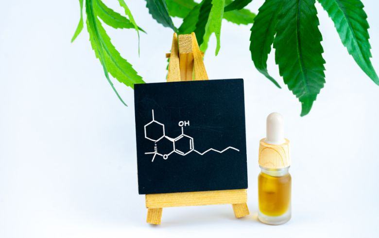 Cosa sono i cannabinoidi?