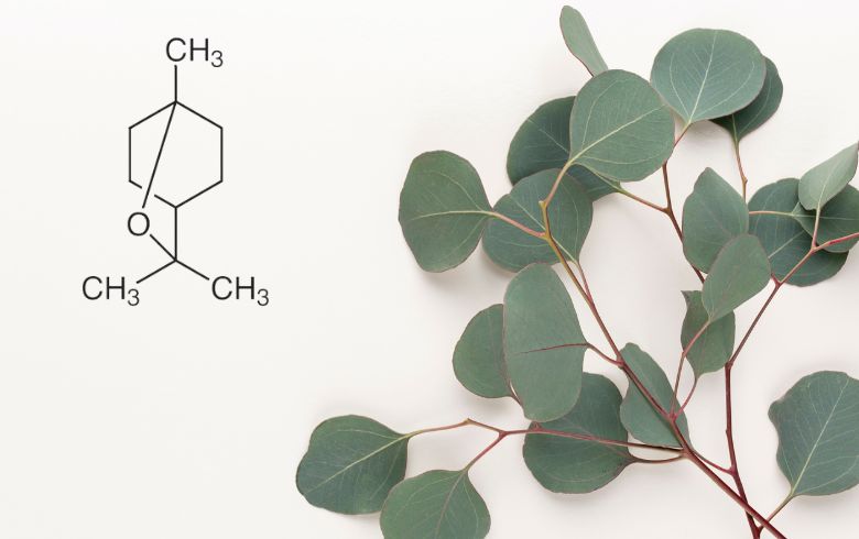 Notizie sulla cannabis