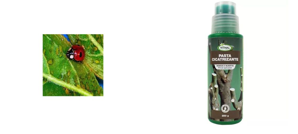 Combattere infestazione di marijuana