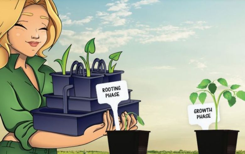 Come usare la Tabella Atami