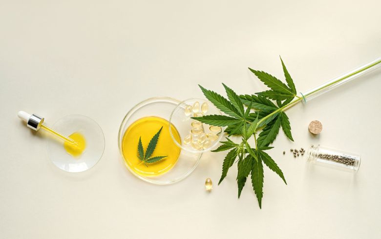 Imparare a fare l'olio di CBD