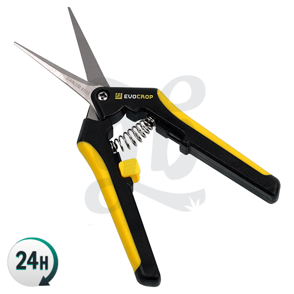 forbici v cut forbici v cut