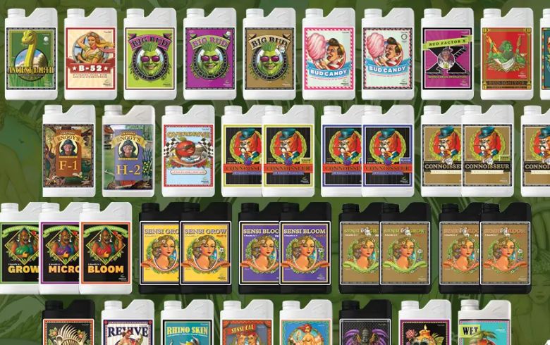 Notizie sulla cannabis