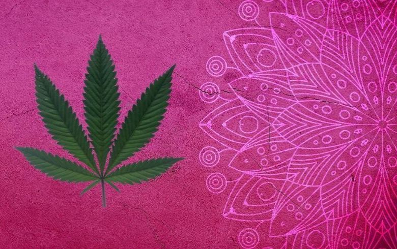 Esiste la marijuana allucinogena? Tutto quello che c’è da sapere 
