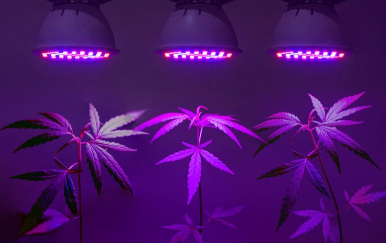 Come installare lampade per la marijuana Come installare lampade per la marijuana