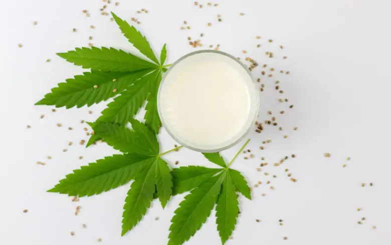 Leche de marihuana