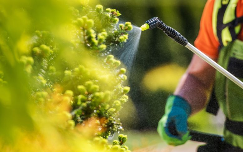 Come e quando utilizzare il fertilizzante liquido ? Come e quando utilizzare il fertilizzante liquido ?