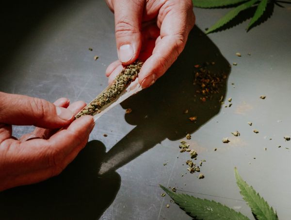 Notizie sulla cannabis