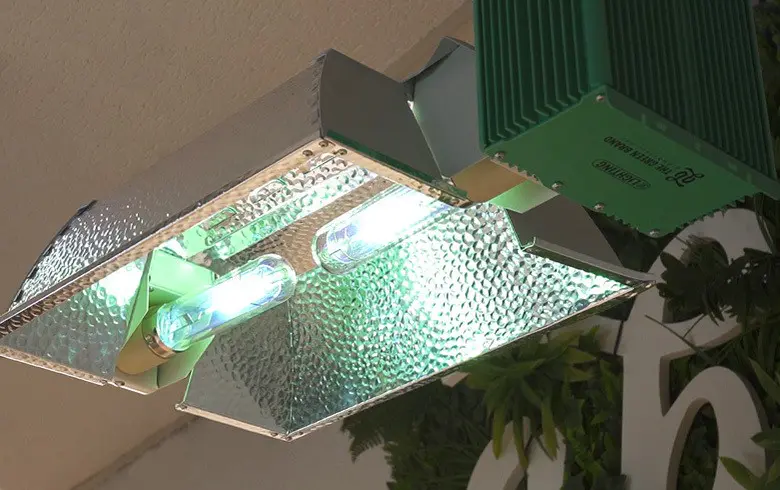 L’altezza ideale delle lampade indoor nella coltivazione di cannabis L’altezza ideale delle lampade indoor nella coltivazione di cannabis