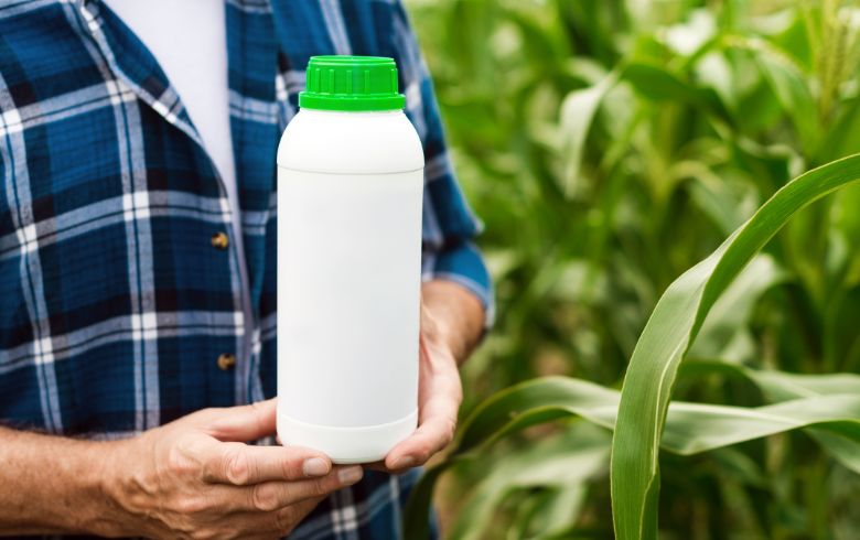 Notizie sulla cannabis