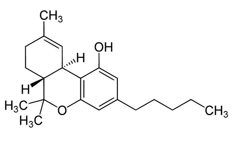 Che cos’è il tetraidrocannabinolo e che effetti produce?