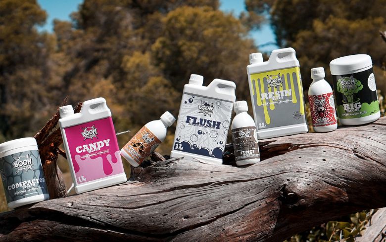 Notizie sulla cannabis