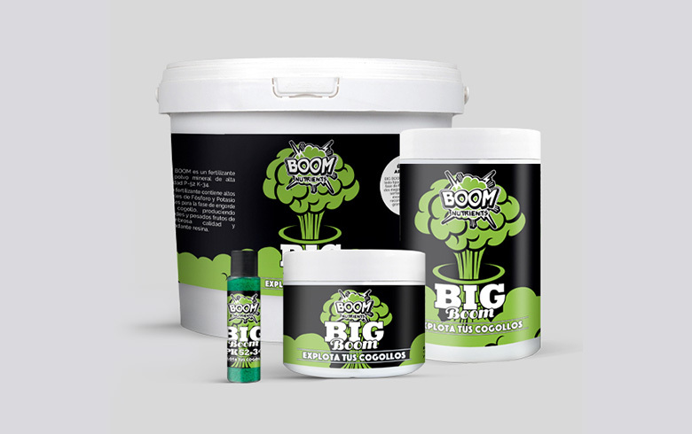 Notizie sulla cannabis