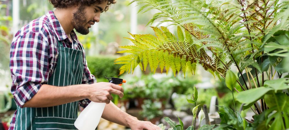 Come fare sapone potassico Come fare sapone potassico