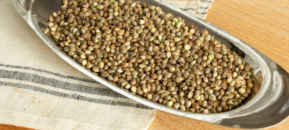 Perché i semi non germogliano